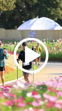 BIB:  <button type="button" onclick="openModal(27583523)" class="btn btn-primary btn-sm float-right" data-toggle="modal" data-target=".modal-high-quality">
                <i class="fa fa-download"></i> Download
                </button>